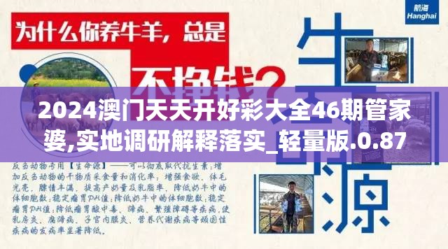 2024澳门天天开好彩大全46期管家婆,实地调研解释落实_轻量版.0.871