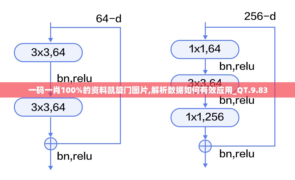 一码一肖100%的资料凯旋门图片,解析数据如何有效应用_QT.9.83