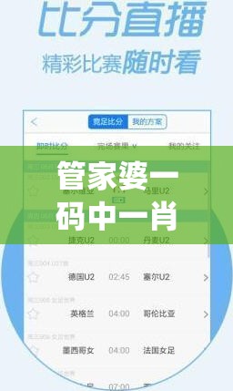 管家婆一码中一肖198期,广泛的解释落实支持计划_XT.7.479