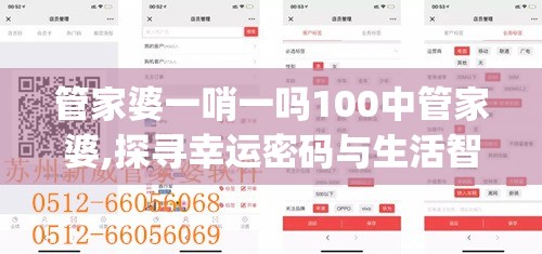 管家婆一哨一吗100中管家婆,探寻幸运密码与生活智慧_潮流版WSAP.4.665