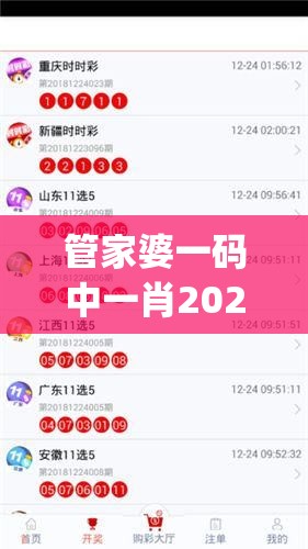 管家婆一码中一肖2024,权威数据解释落实_C版.6.695