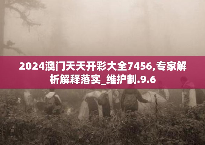 2024澳门天天开彩大全7456,专家解析解释落实_维护制.9.6