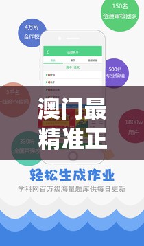 寻找忍者之战：在哪里可以观看完整的忍术对决记录？