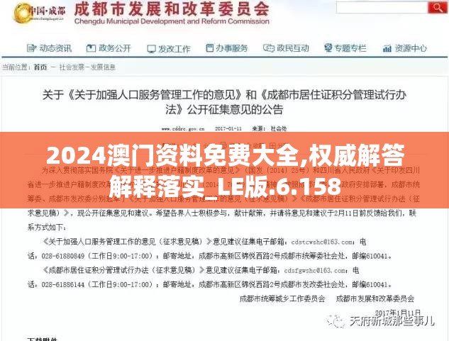 2024澳门资料免费大全,权威解答解释落实_LE版.6.158