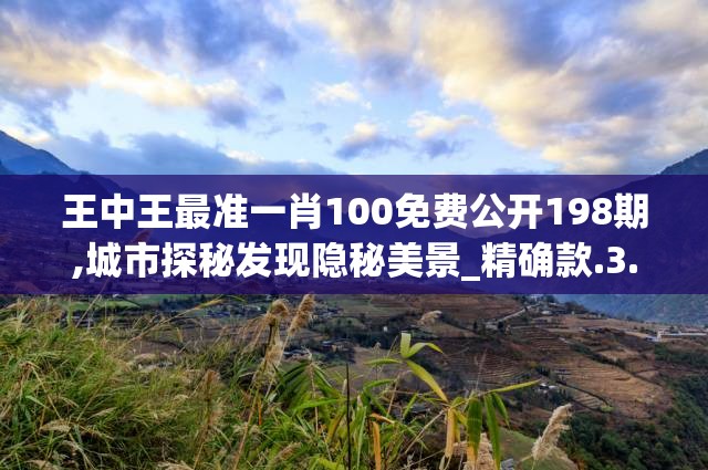 王中王最准一肖100免费公开198期,城市探秘发现隐秘美景_精确款.3.393