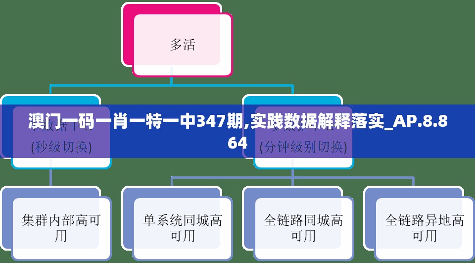 澳门一码一肖一特一中347期,实践数据解释落实_AP.8.864