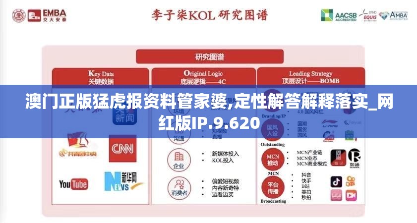 澳门正版猛虎报资料管家婆,定性解答解释落实_网红版IP.9.620