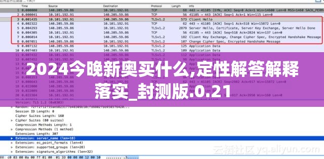 2024今晚新奥买什么,定性解答解释落实_封测版.0.21