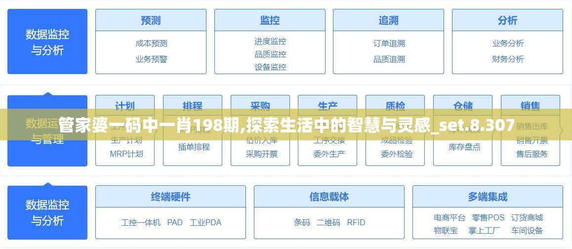 管家婆一码中一肖198期,探索生活中的智慧与灵感_set.8.307