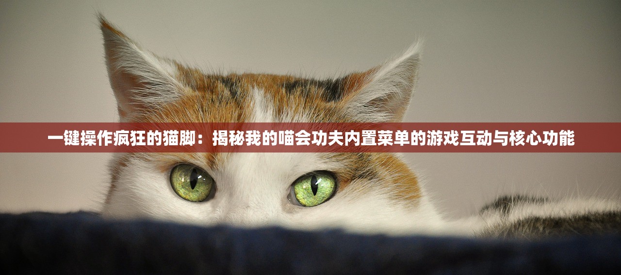 一键操作疯狂的猫脚：揭秘我的喵会功夫内置菜单的游戏互动与核心功能