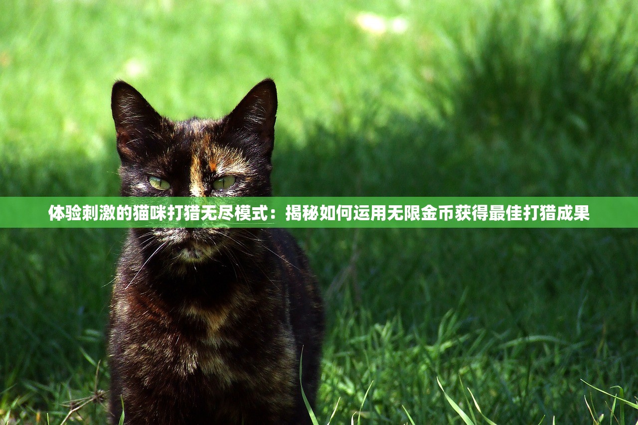 体验刺激的猫咪打猎无尽模式：揭秘如何运用无限金币获得最佳打猎成果