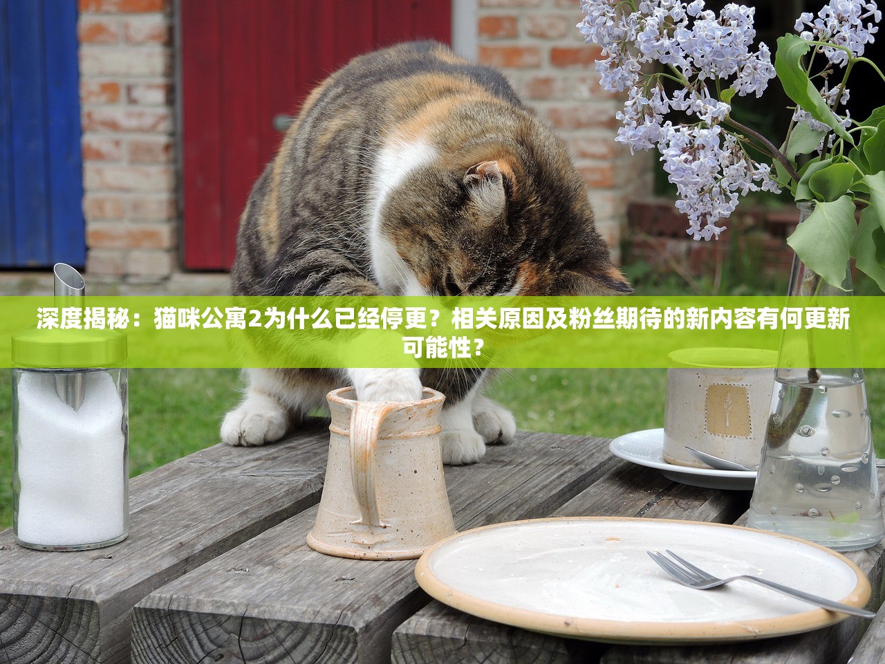 深度揭秘：猫咪公寓2为什么已经停更？相关原因及粉丝期待的新内容有何更新可能性？