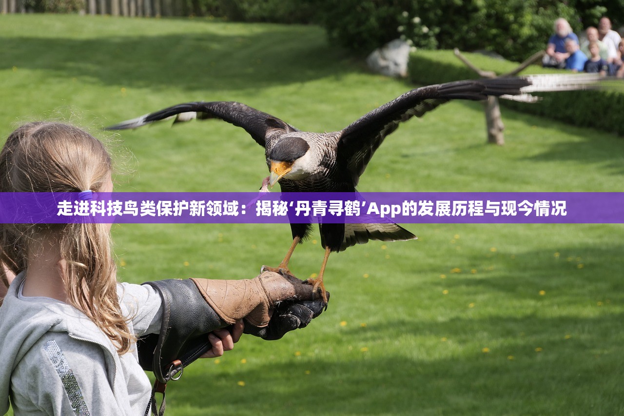 走进科技鸟类保护新领域：揭秘‘丹青寻鹤’App的发展历程与现今情况