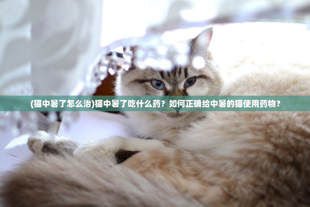 (猫中暑了怎么治)猫中暑了吃什么药？如何正确给中暑的猫使用药物？