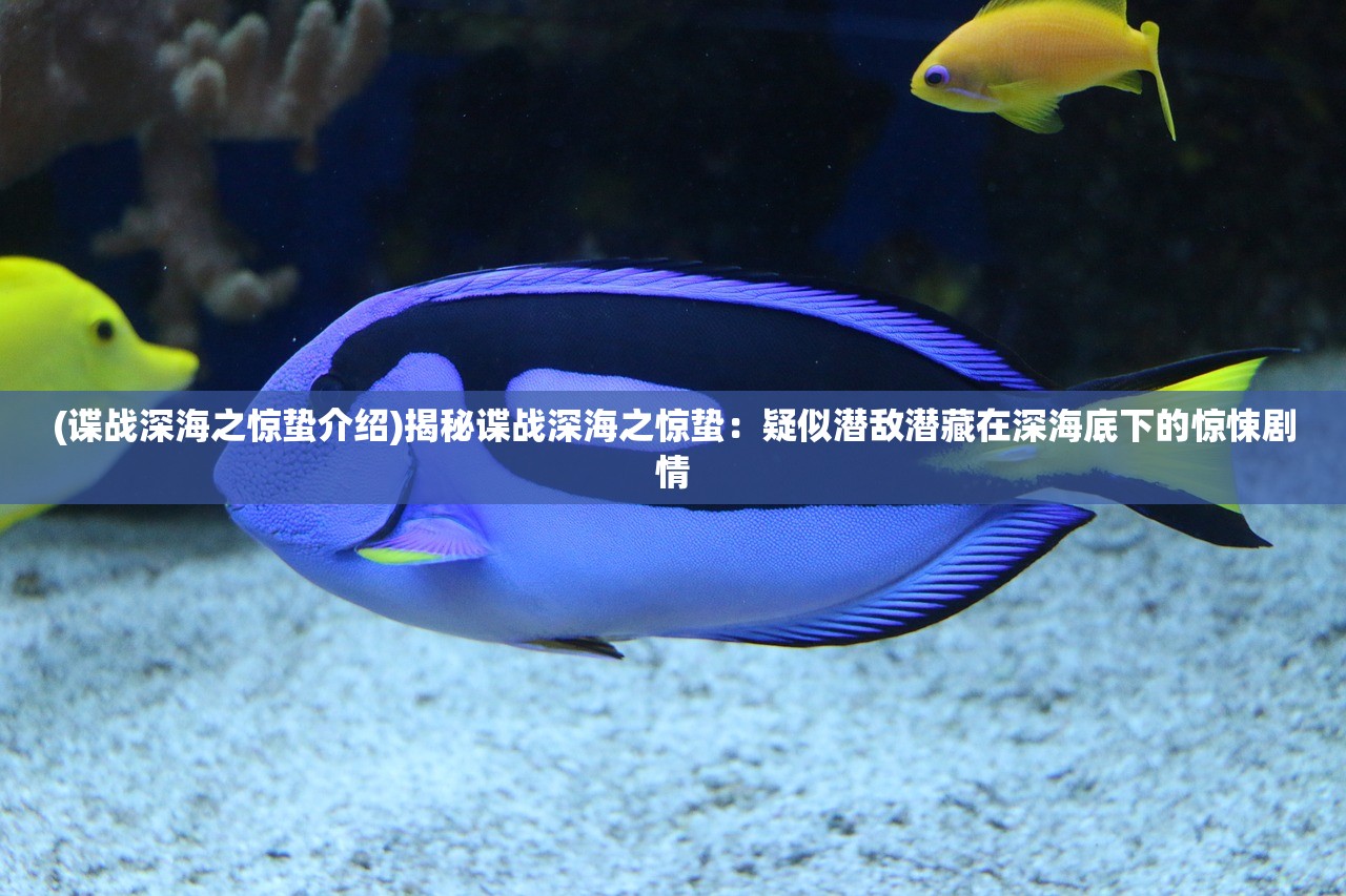 (谍战深海之惊蛰介绍)揭秘谍战深海之惊蛰：疑似潜敌潜藏在深海底下的惊悚剧情