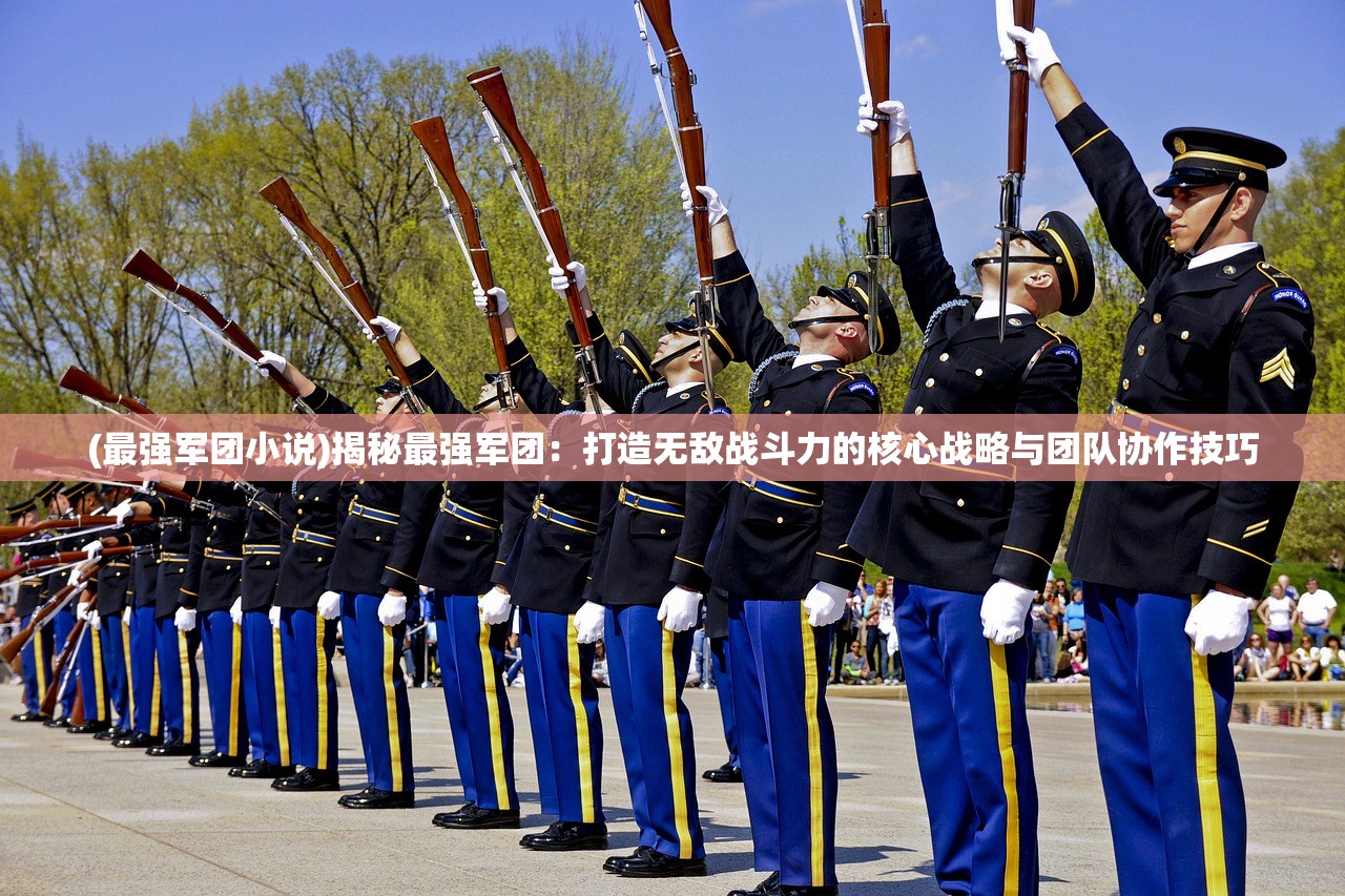 (最强军团小说)揭秘最强军团：打造无敌战斗力的核心战略与团队协作技巧