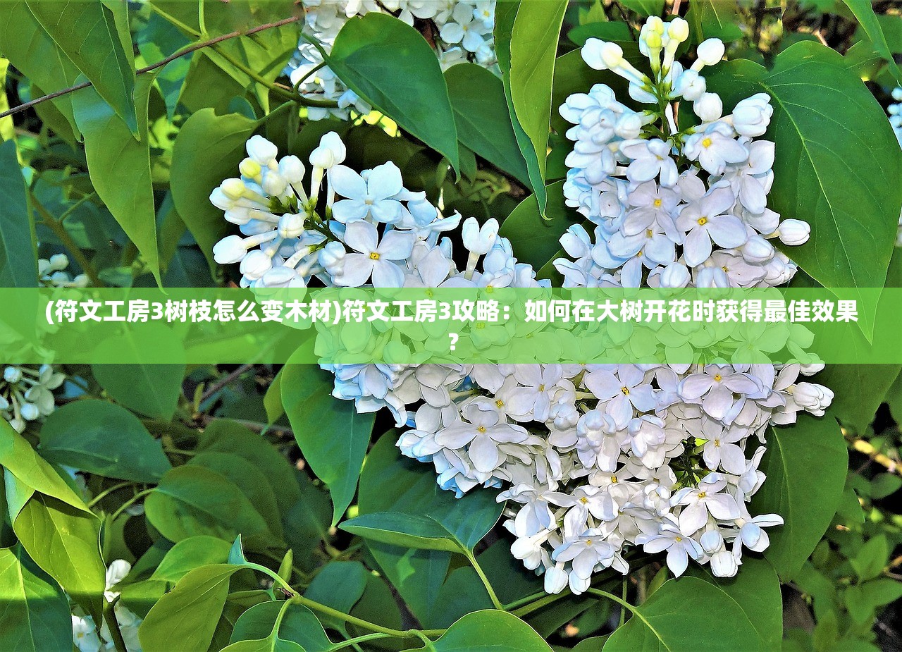 (符文工房3树枝怎么变木材)符文工房3攻略：如何在大树开花时获得最佳效果？