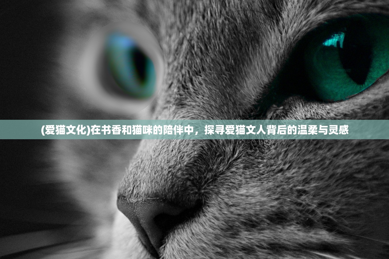 (爱猫文化)在书香和猫咪的陪伴中，探寻爱猫文人背后的温柔与灵感