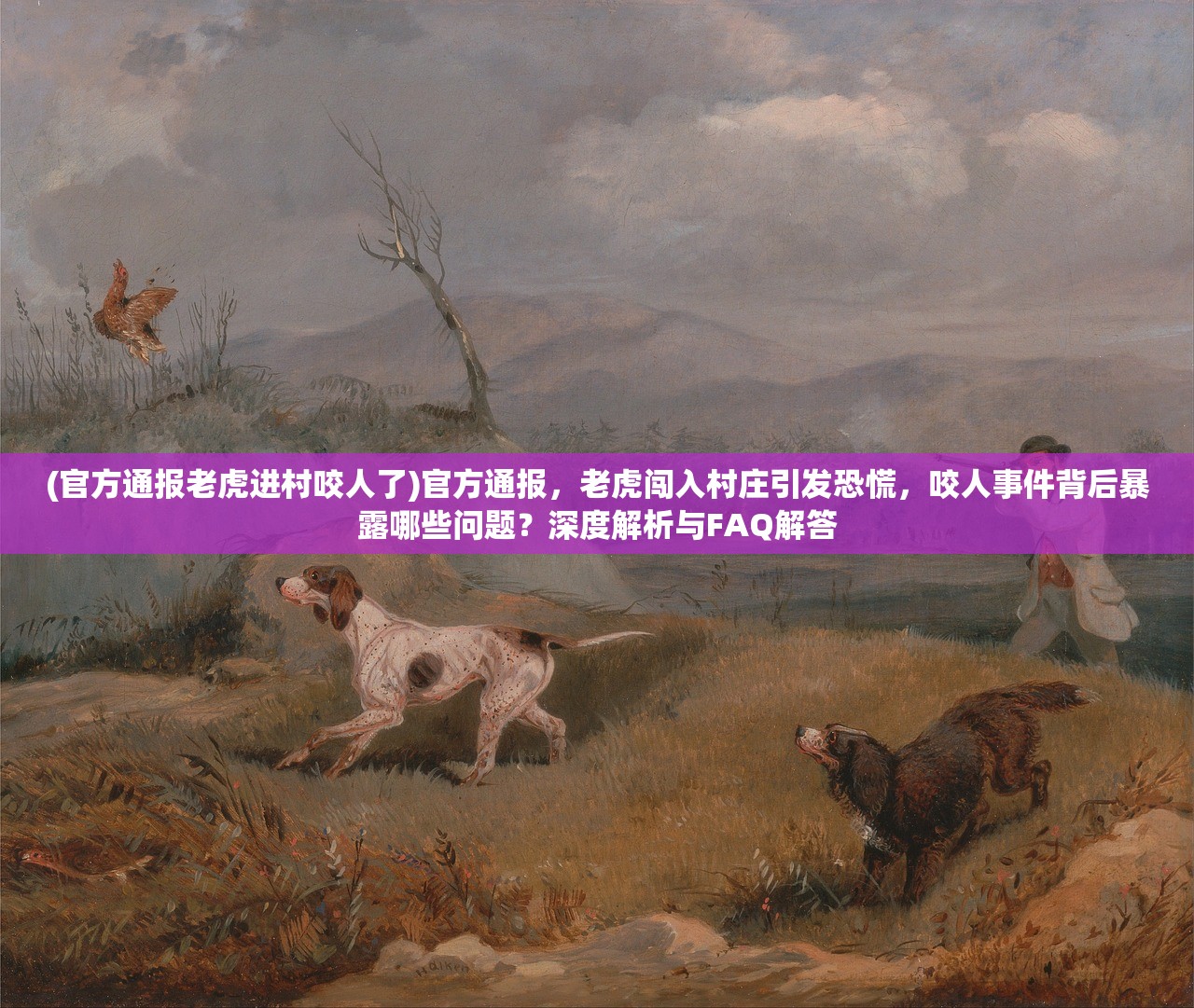 (官方通报老虎进村咬人了)官方通报，老虎闯入村庄引发恐慌，咬人事件背后暴露哪些问题？深度解析与FAQ解答