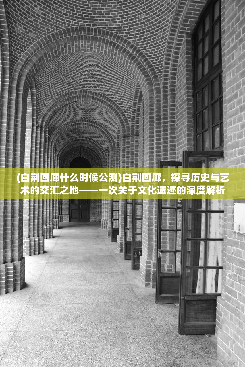 (白荆回廊什么时候公测)白荆回廊，探寻历史与艺术的交汇之地——一次关于文化遗迹的深度解析