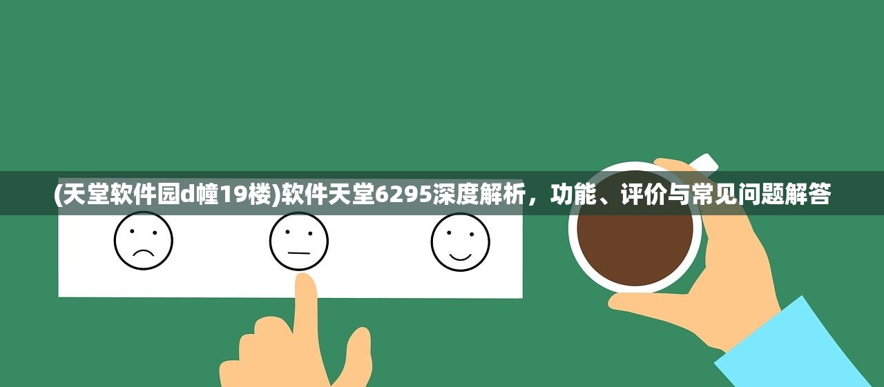 (天堂软件园d幢19楼)软件天堂6295深度解析，功能、评价与常见问题解答