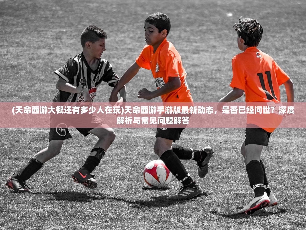(龙之力量攻略)龙之力量3，探索全新奇幻世界的奥秘与挑战——深度解析与FAQ解答