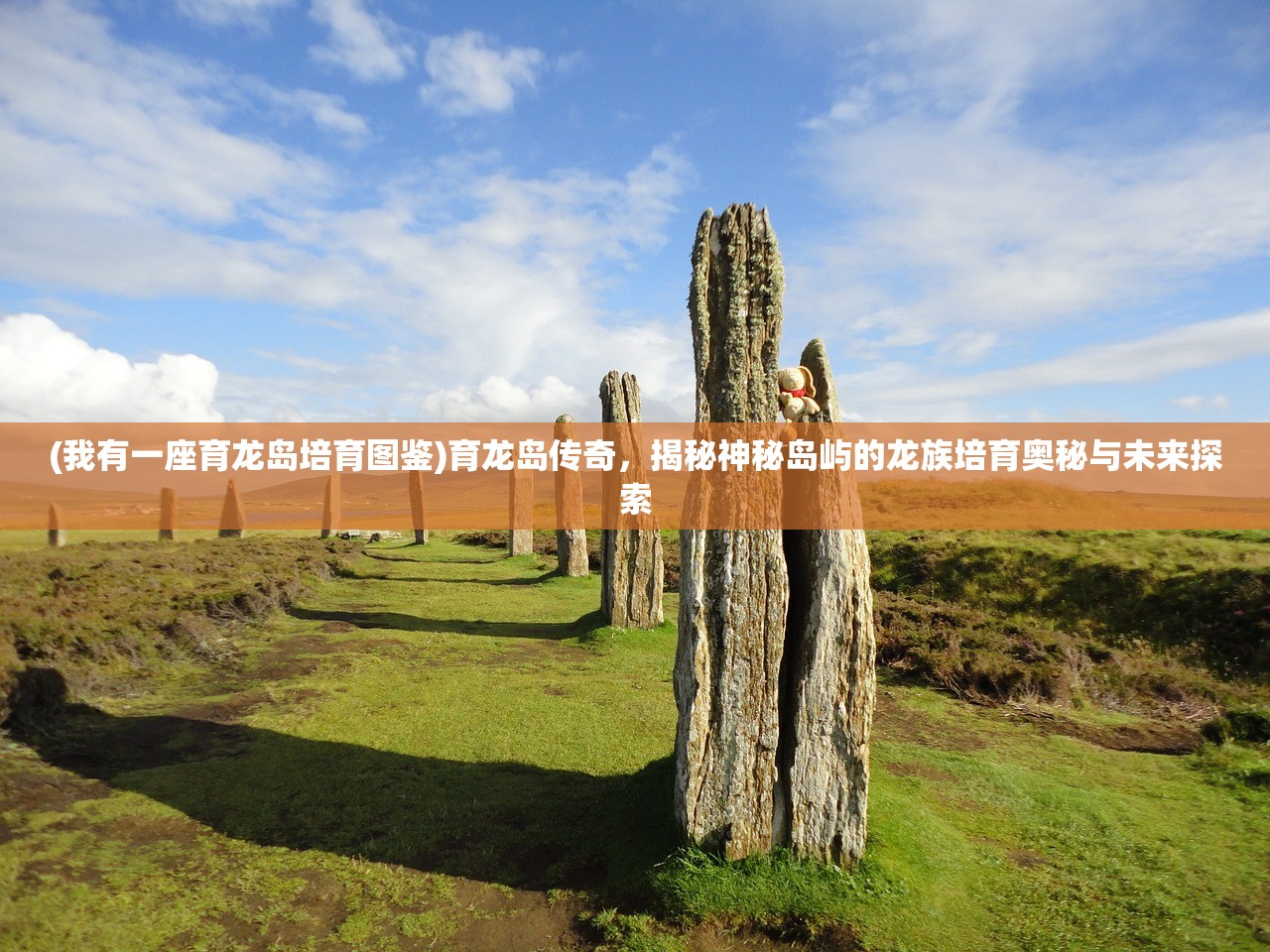 (我有一座育龙岛培育图鉴)育龙岛传奇，揭秘神秘岛屿的龙族培育奥秘与未来探索