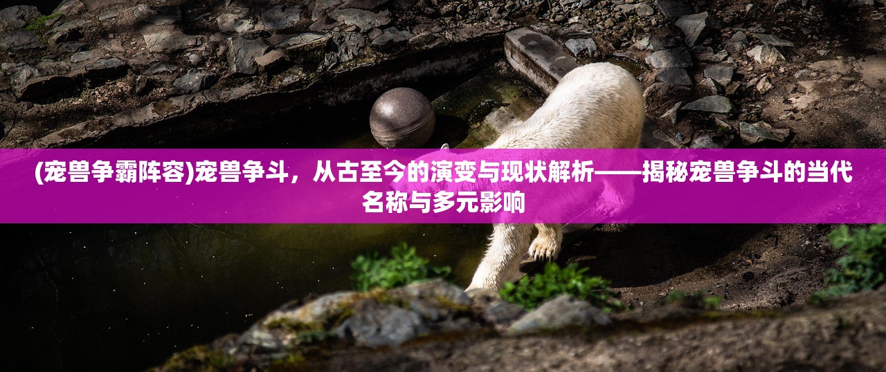 (宠兽争霸阵容)宠兽争斗，从古至今的演变与现状解析——揭秘宠兽争斗的当代名称与多元影响