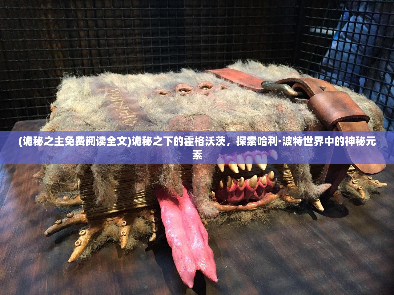 (诡秘之主免费阅读全文)诡秘之下的霍格沃茨，探索哈利·波特世界中的神秘元素