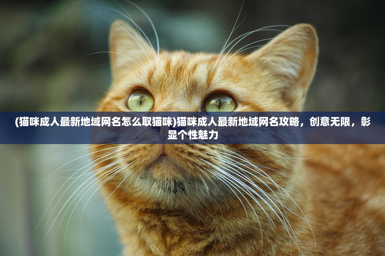 (猫咪成人最新地域网名怎么取猫咪)猫咪成人最新地域网名攻略，创意无限，彰显个性魅力