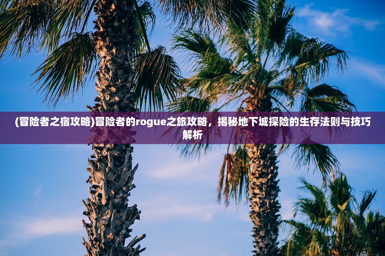 (冒险者之宿攻略)冒险者的rogue之旅攻略，揭秘地下城探险的生存法则与技巧解析