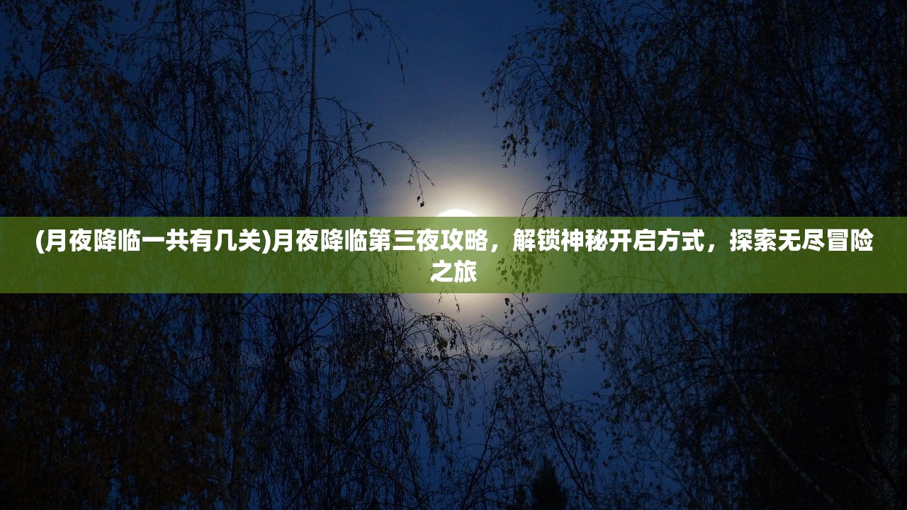 (月夜降临一共有几关)月夜降临第三夜攻略，解锁神秘开启方式，探索无尽冒险之旅