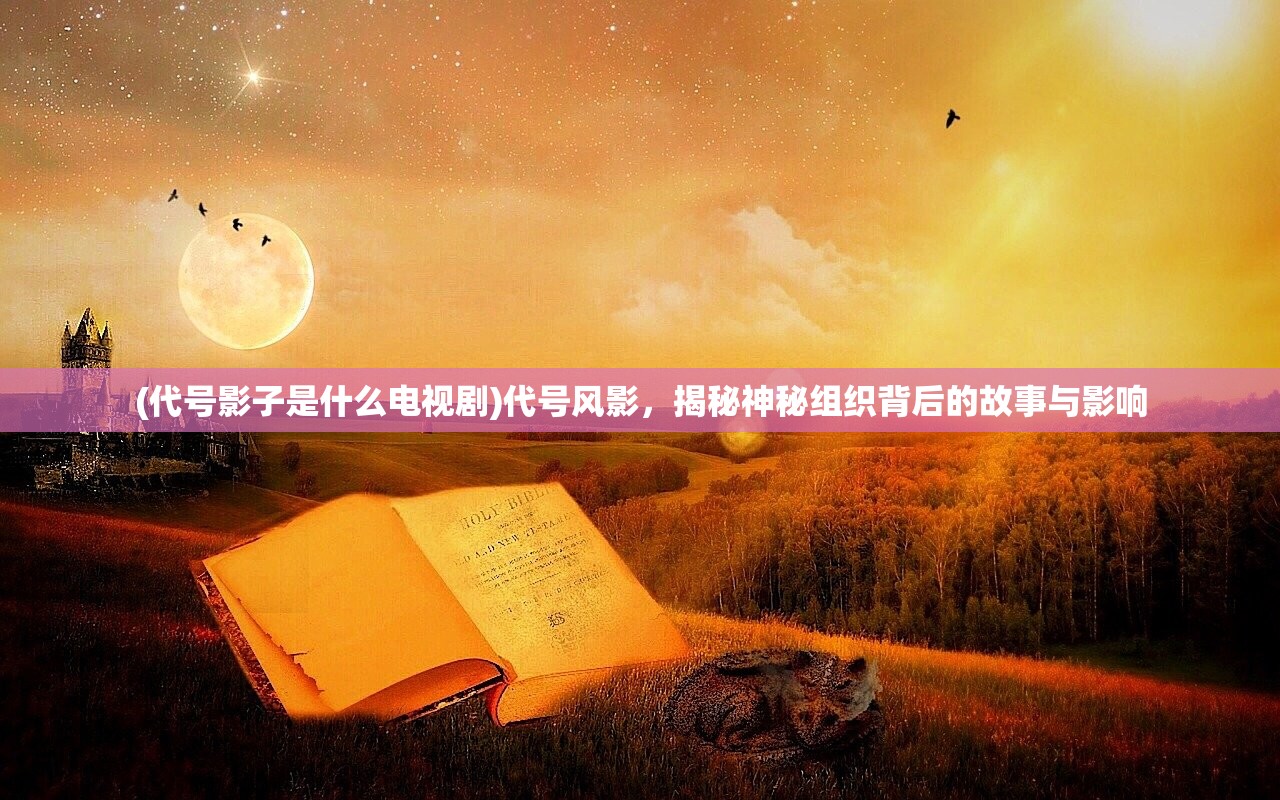 (代号影子是什么电视剧)代号风影，揭秘神秘组织背后的故事与影响