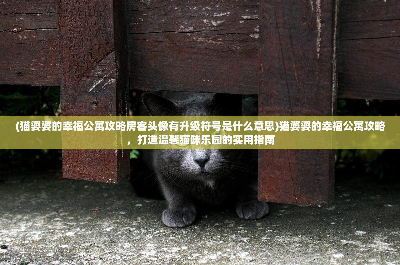 (猫婆婆的幸福公寓攻略房客头像有升级符号是什么意思)猫婆婆的幸福公寓攻略，打造温馨猫咪乐园的实用指南