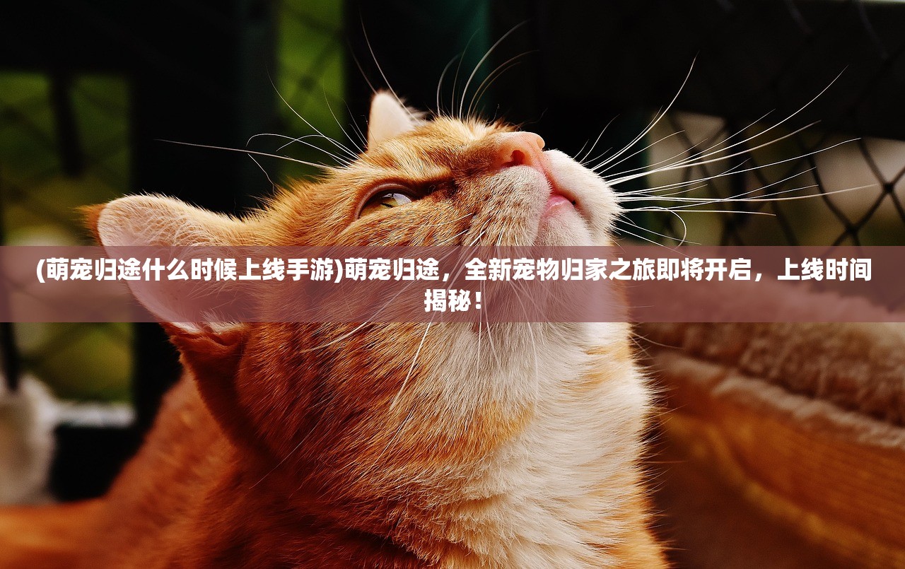 (奥比岛梦幻国度第三宫攻略)奥比岛梦幻国度，探索虚拟世界的奇幻之旅