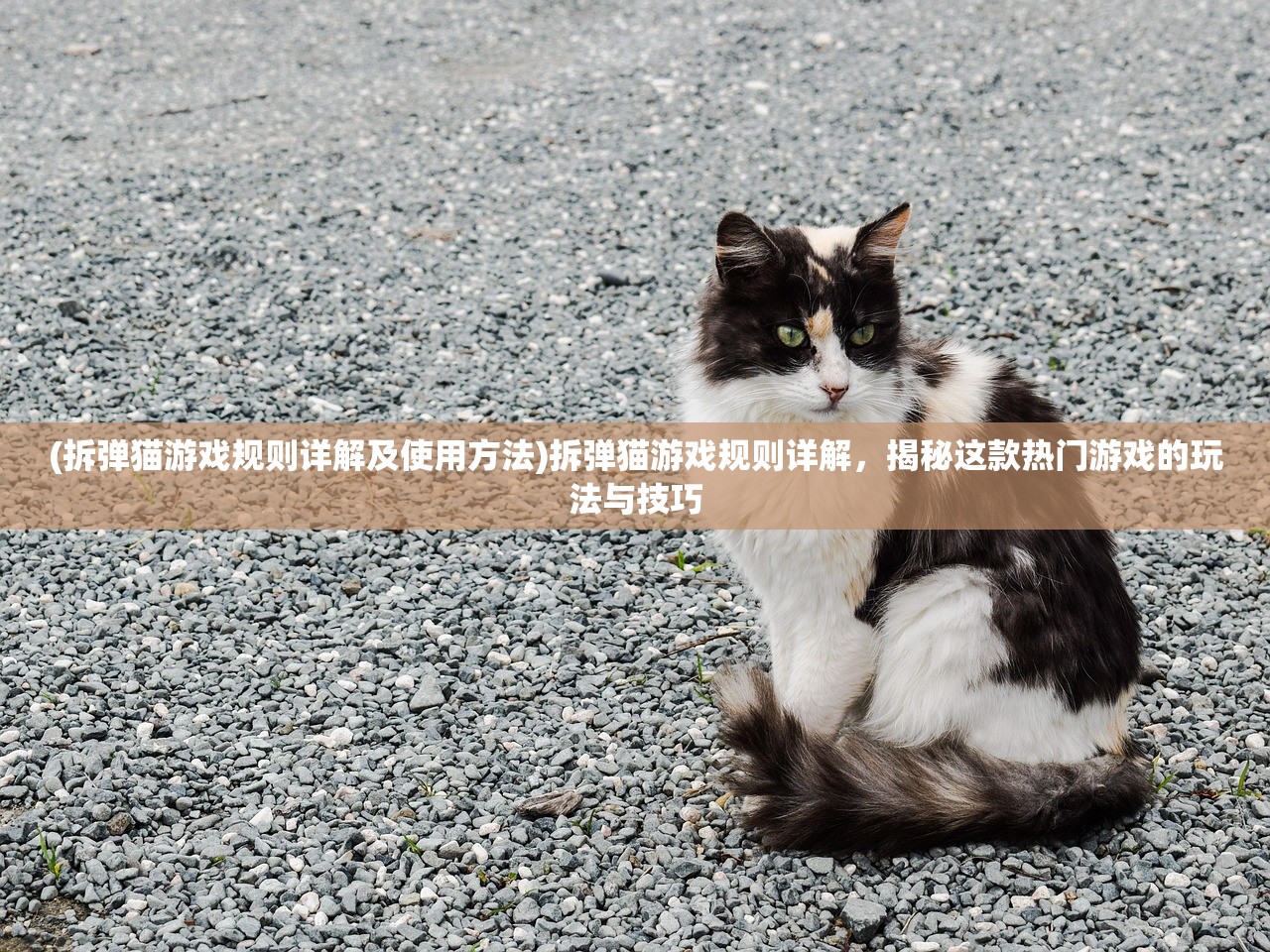 (精灵小队口号 精彩机灵)精灵小队口号，凝聚力量，守护家园——精灵小队的精神内核解析