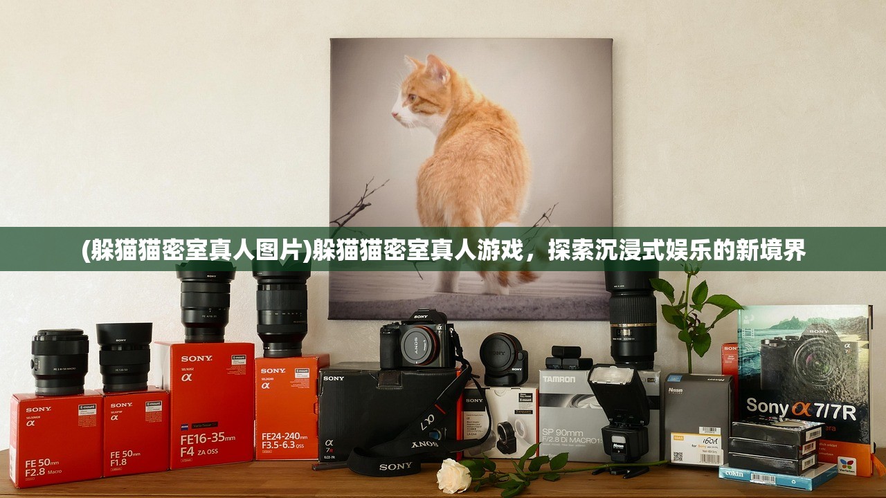 (躲猫猫密室真人图片)躲猫猫密室真人游戏，探索沉浸式娱乐的新境界