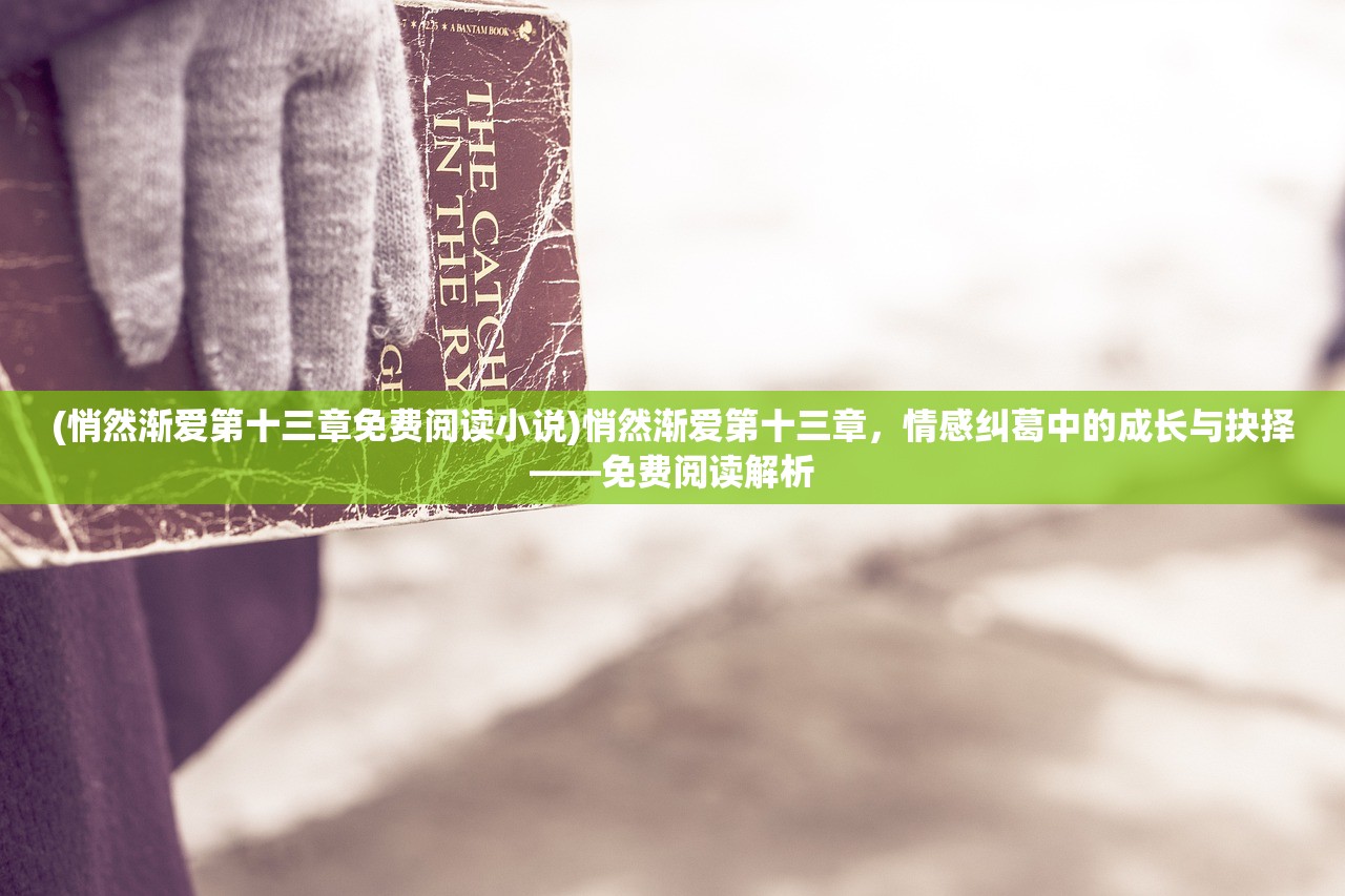 (悄然渐爱第十三章免费阅读小说)悄然渐爱第十三章，情感纠葛中的成长与抉择——免费阅读解析
