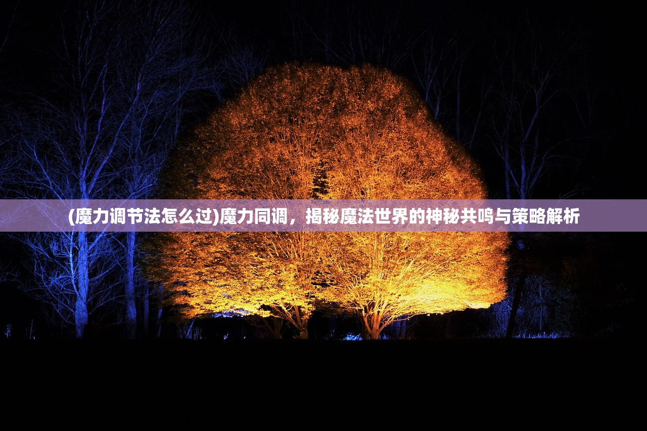 (魔力调节法怎么过)魔力同调，揭秘魔法世界的神秘共鸣与策略解析