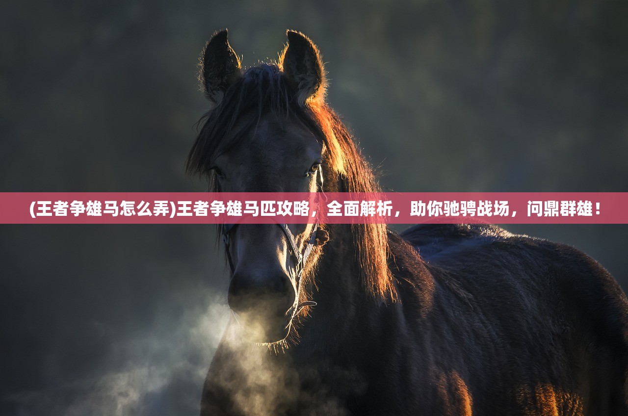 (王者争雄马怎么弄)王者争雄马匹攻略，全面解析，助你驰骋战场，问鼎群雄！